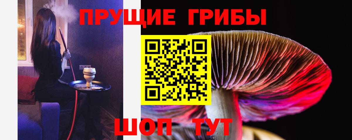 Галлюциногенные грибы GOLDEN TEACHER  купить закладку  Галлюциногенные грибы MAGIC MUSHROOMS  Сергиев Посад  Вход с VPN 
